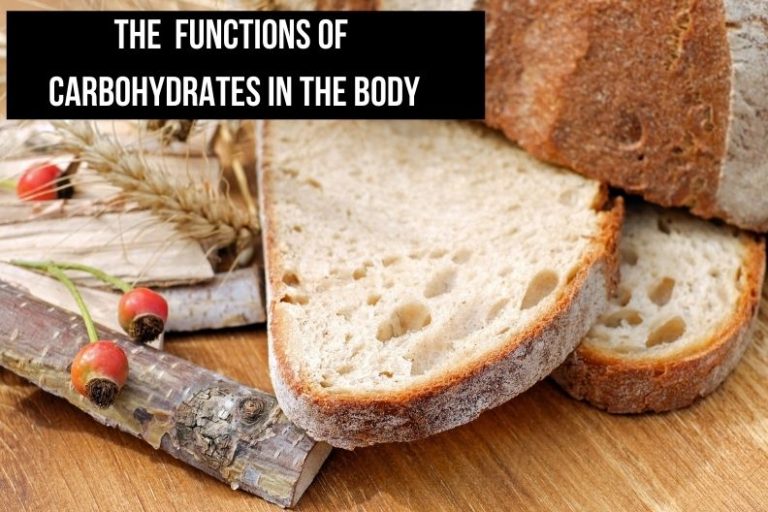 The  Functions of Carbohydrates in the Body