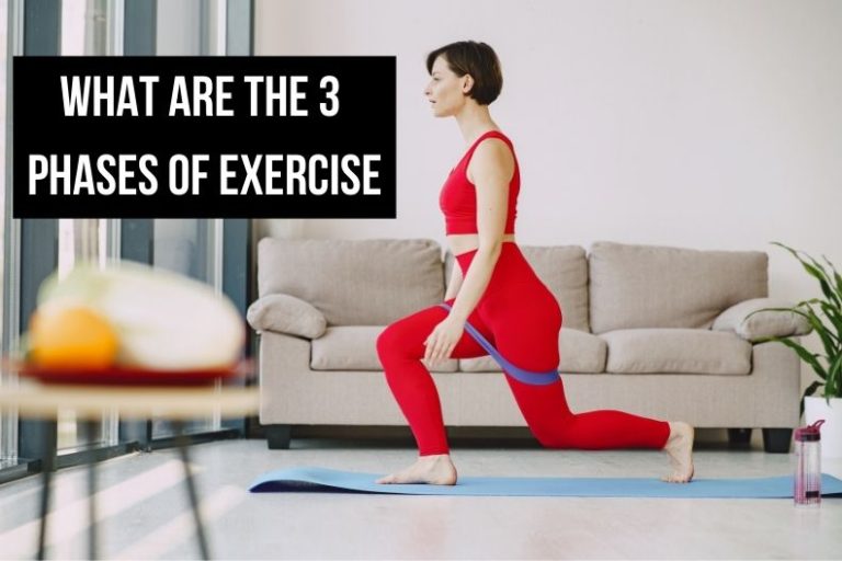 What are the 3 Phases of Exercise?