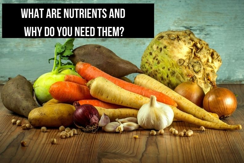 What are Nutrients and Why Do You Need Them?