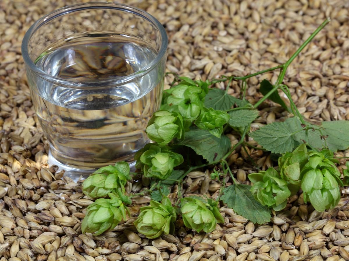 Hop Water Recipe Pairing Different Flavors With Food